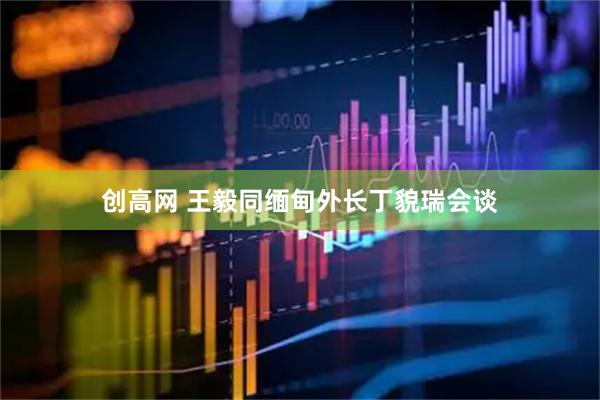 创高网 王毅同缅甸外长丁貌瑞会谈